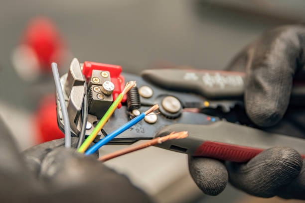 Best Electrical System Inspection  in Silver Springs, NV